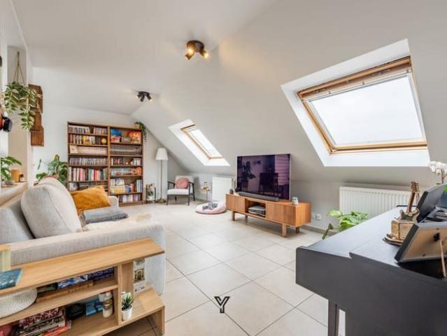 Kot location à Espierres-helchin, West-Vlaanderen