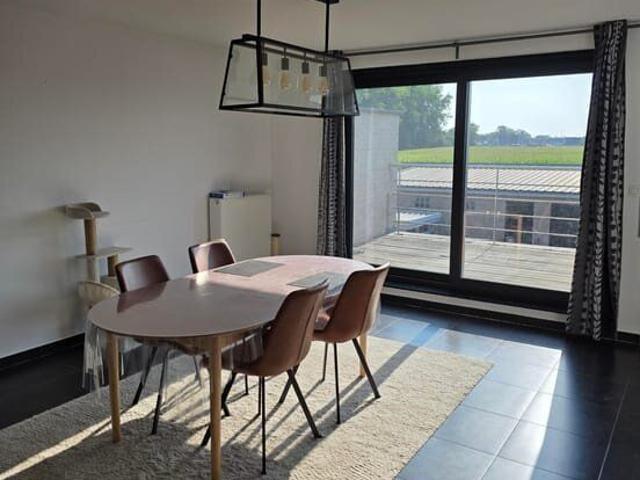 Kot location à Dendermonde, Oost-Vlaanderen