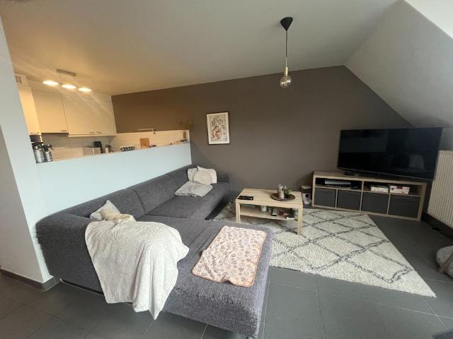 Appartement location à Waregem, West-Vlaanderen