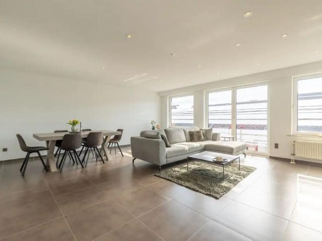 Appartement location à Montaigu-zichem, Brabant