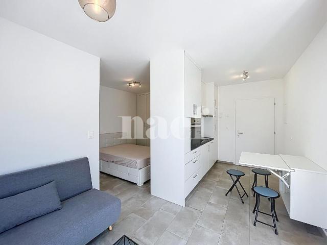 Apartment mieten in Epalinges, Waadt