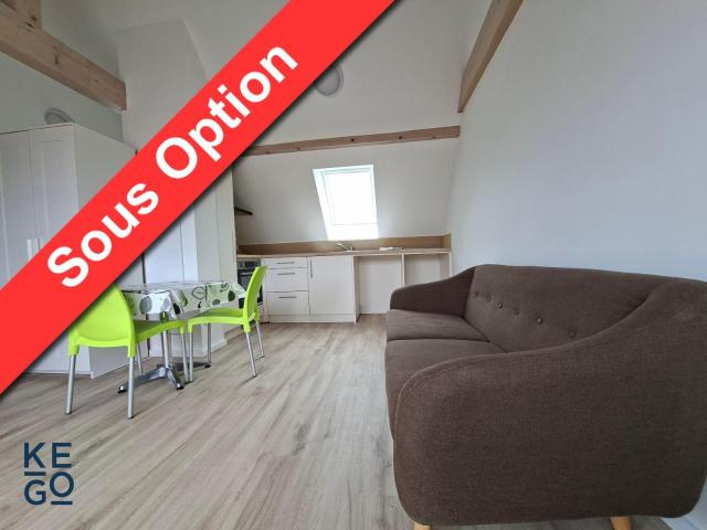 Appartement location à Saverne