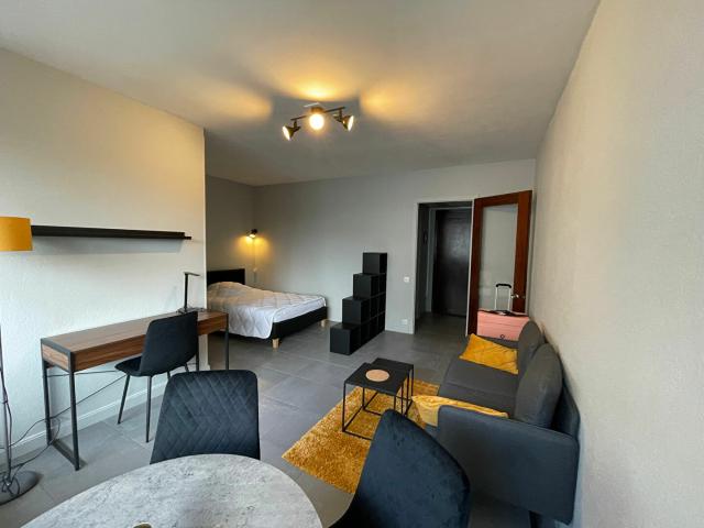 Appartement location à Pau