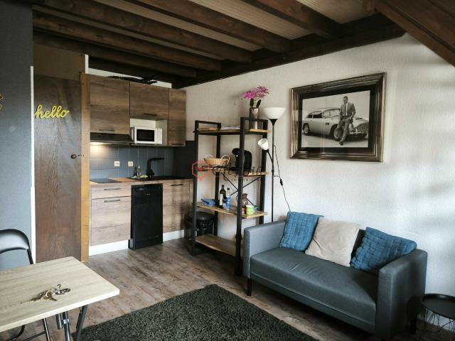 Appartement location à France métropolitaine, Saint-bonnet-en-champsaur