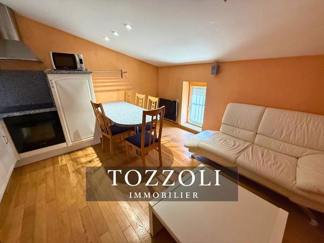 Appartement location à Vienne, Saint-georges-d'espéranche