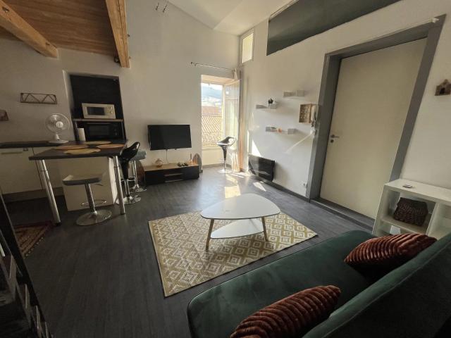 Appartement location à Millau
