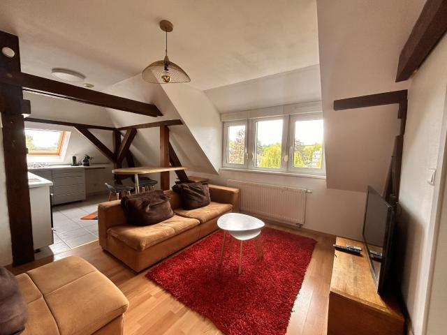 Appartement location à Haguenau-Wissembourg, Wissembourg