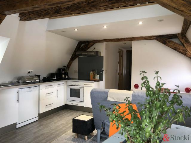 Appartement location à Strasbourg, Hoenheim