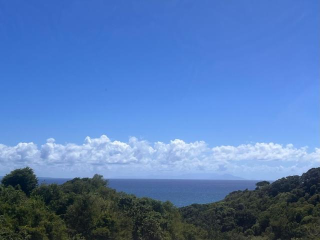 Appartement location à Guadeloupe