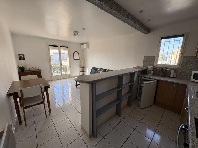 Appartement location à Saint-Cyprien, Pyrénées-Orientales