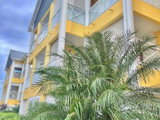 Appartement location à Guadeloupe