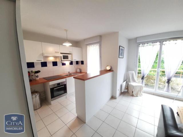 Appartement location à Albi