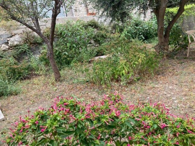 Appartement location à Nice