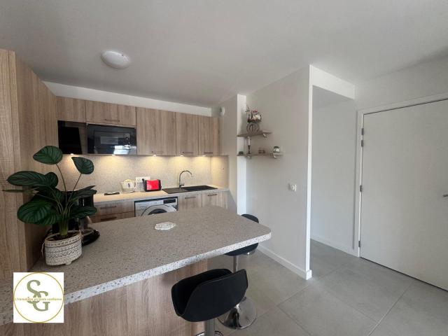 Appartement location à Albi