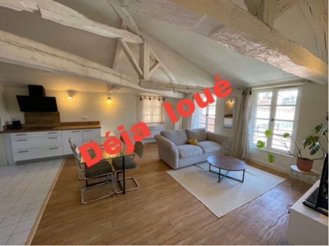Appartement location à Albi