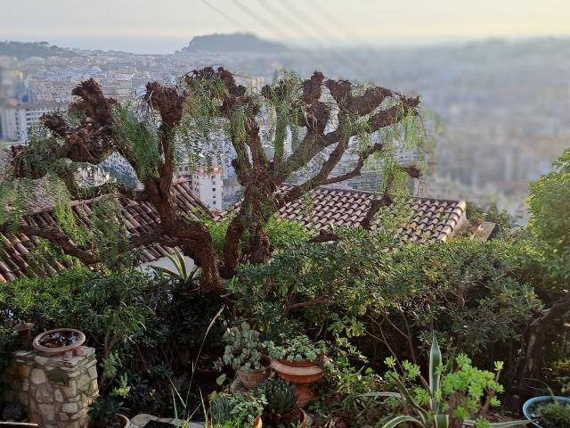 Appartement location à Nice