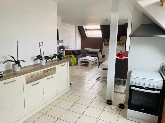 Appartement location à Haguenau-Wissembourg, Grand Est