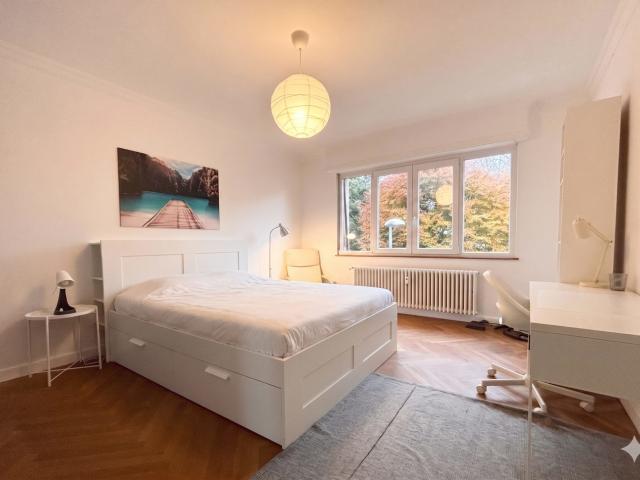 Appartement location à Strasbourg, Hoenheim