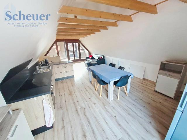 Appartement location à Sélestat-Erstein, Boersch