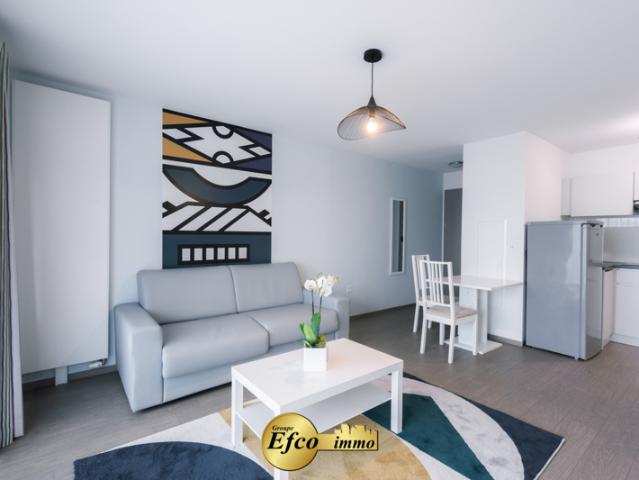 Appartement location à Mulhouse, Blotzheim
