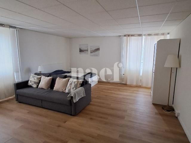 Apartment mieten in La Chaux-de-Fonds