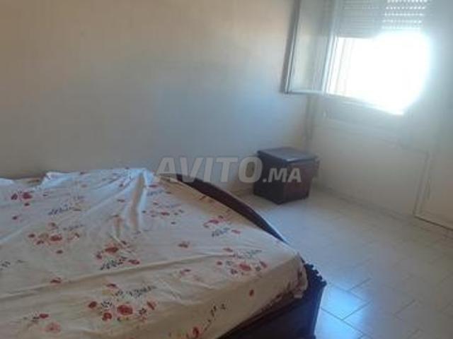 Appartement location