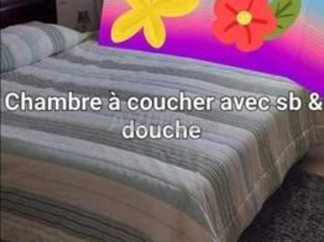Appartement location