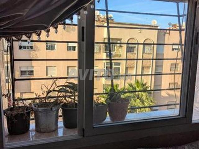 Appartement location à Dcheira El Jihadia, Oued ed Dahab-Lagouira