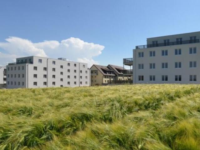Apartment mieten in Niederwangen, Köniz