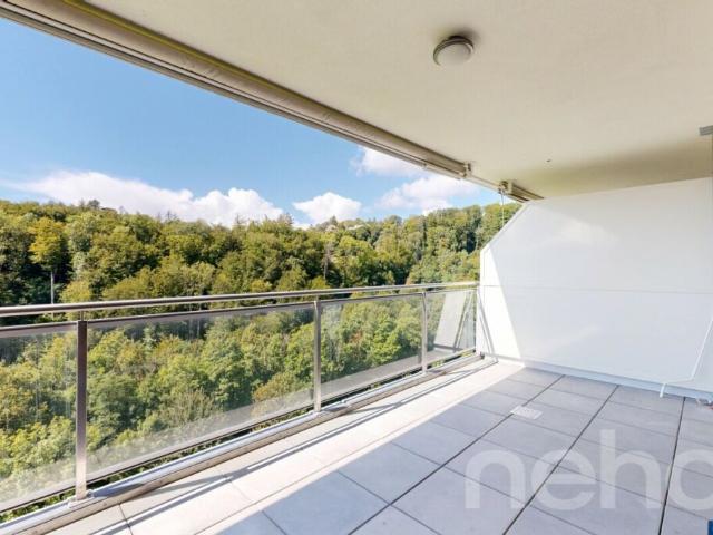 Wohnung kaufen in Belmont-sur-Lausanne, Waadt