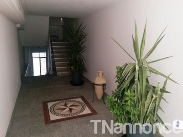 Appartement location