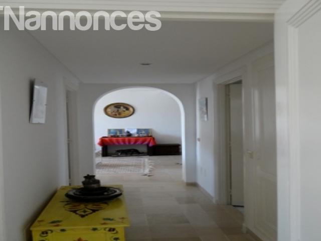Appartement vente