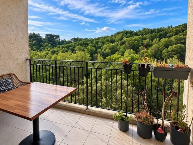 Appartement vente à Mougins-le-Haut, Mougins