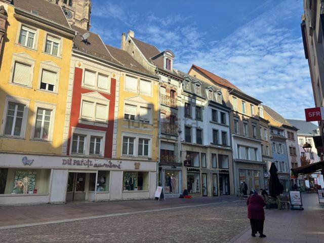 Appartement location à Mulhouse, Collectivité européenne d'Alsace