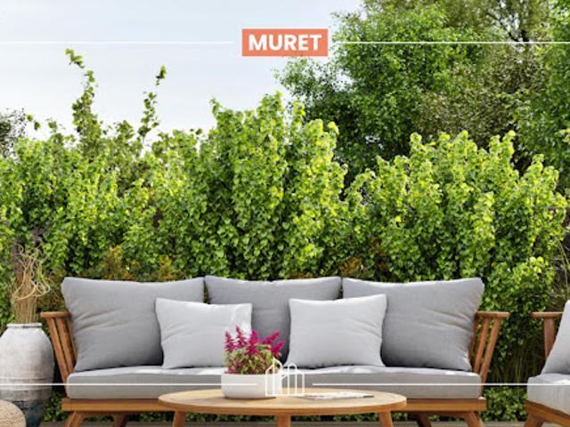Appartement vente à Muret