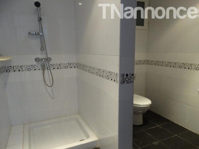 Appartement vente