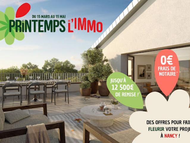 Appartement vente à Nancy