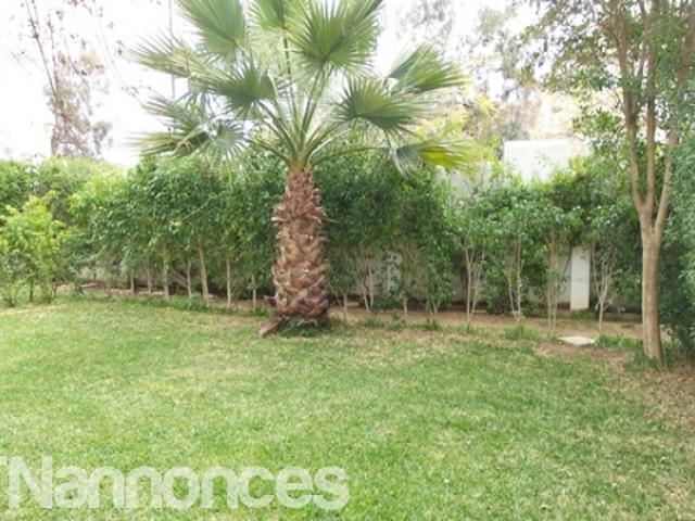 Appartement vente