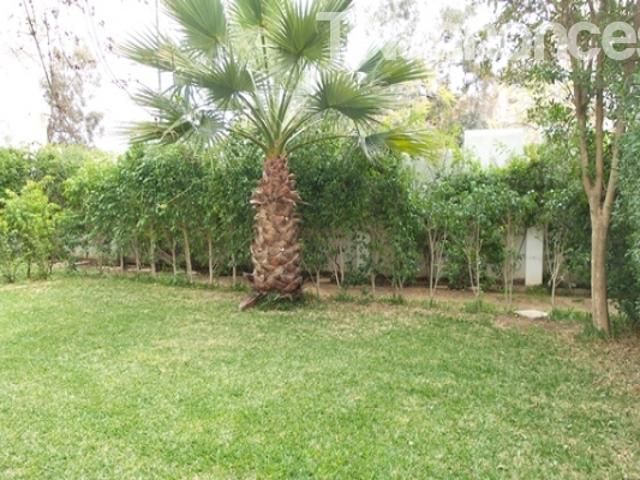 Appartement vente