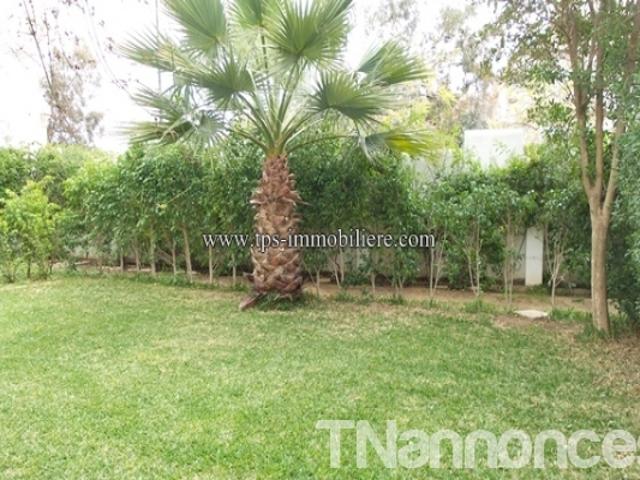 Appartement vente