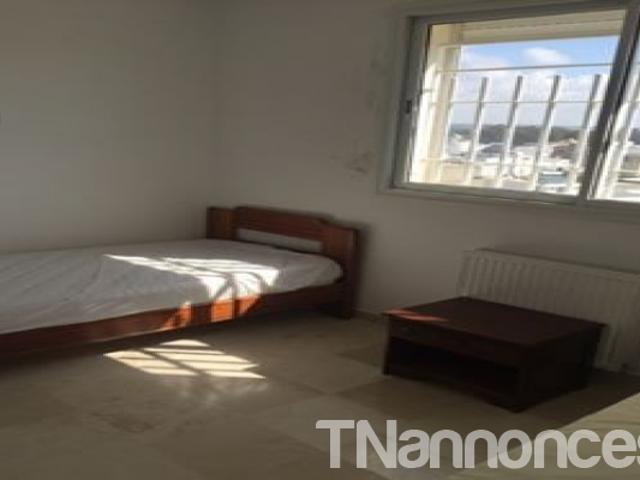 Appartement location