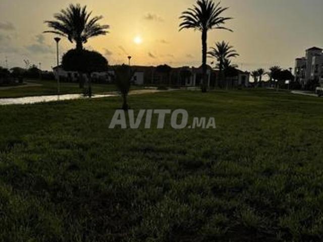 Appartement vente à Saida