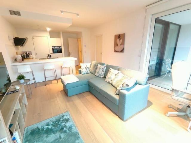 Kot location à Uccle, Bruxelles