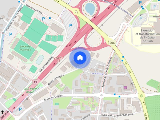 Apartment mieten in Les Mayens-de-Sion, Wallis