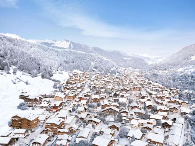 Appartement vente à Thonon-les-Bains, Morzine