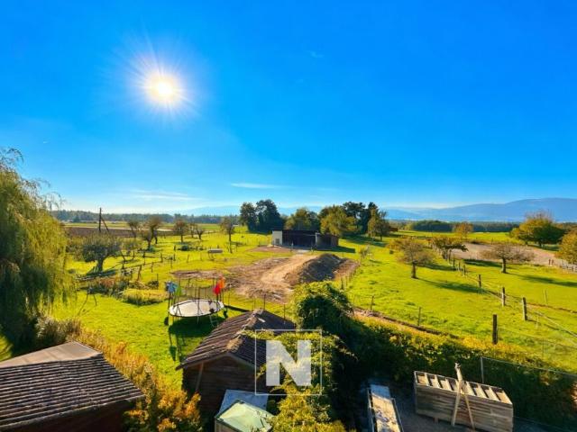 Wohnung kaufen in Vuarrens, Waadt