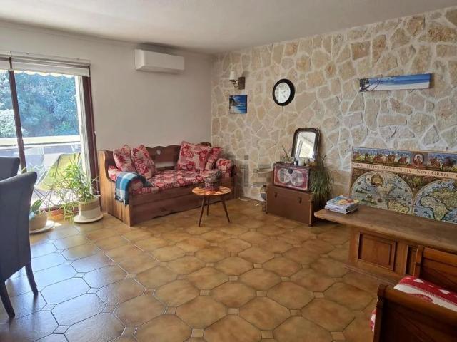 Appartement vente à Henri Sappia, Nice