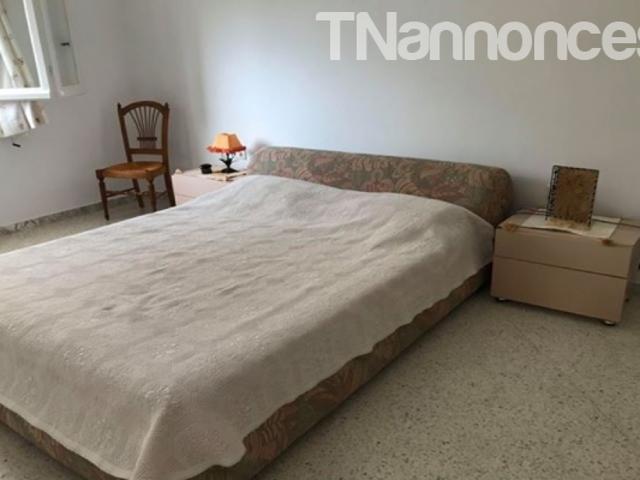 Appartement location