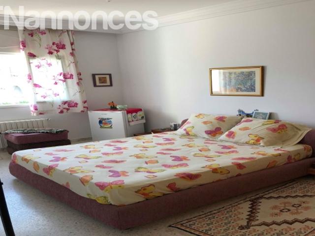 Appartement location