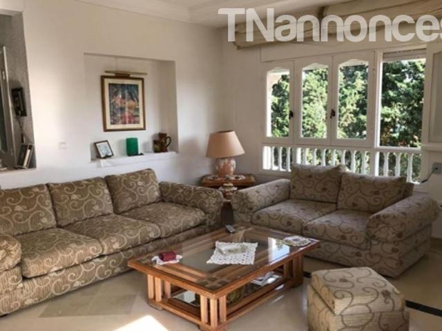 Appartement vente